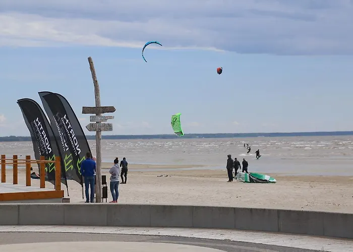 Tamme 公寓 派尔努